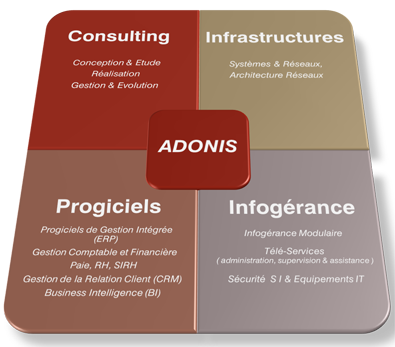 Les compétences d'ADONIS Groupe